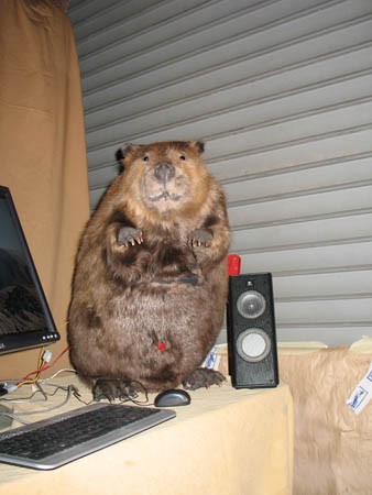 Beaver computer